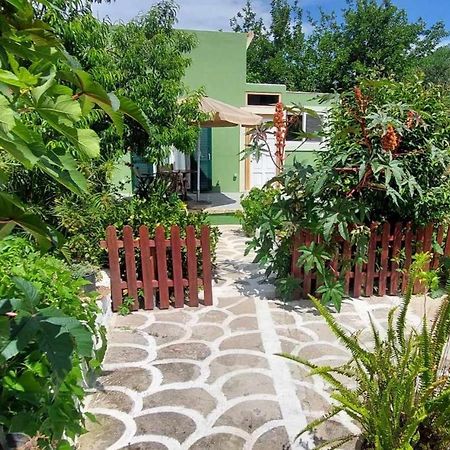Afionas Das Gruene Haus Afión Exterior foto